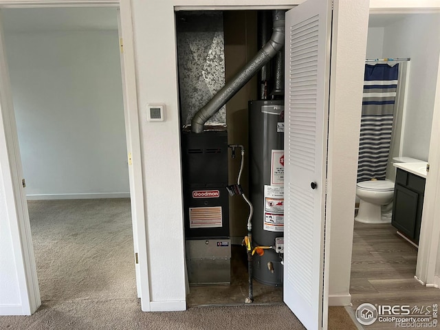 225 E 8th Ave Unit B11, Longmont, CO 80504 - utilities featuring gas water heater