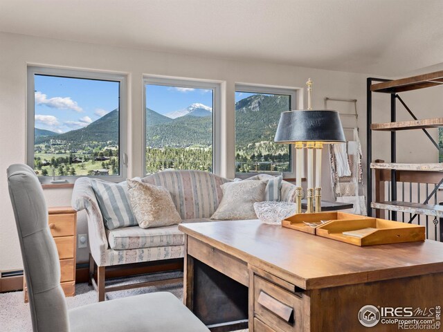 197 Curry Dr, Estes Park, CO 80517 - photo 27