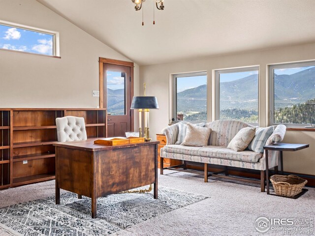 197 Curry Dr, Estes Park, CO 80517 - photo 29