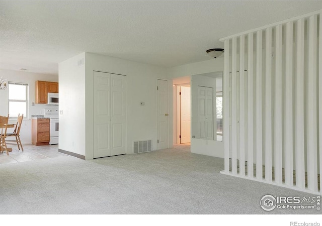 3345 Chisholm Trl Unit 206, Boulder, CO 80301 - unfurnished living room with light colored carpet and a textured ceiling