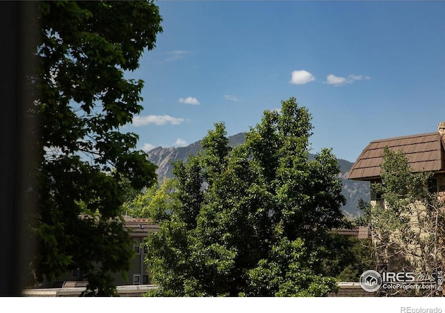 3345 Chisholm Trl Unit 206, Boulder, CO 80301 - mountain view