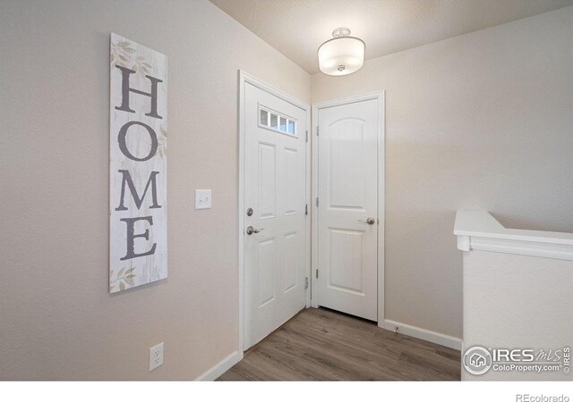 4216 Yellowbells Dr, Evans, CO 80620 - foyer with baseboards and wood finished floors