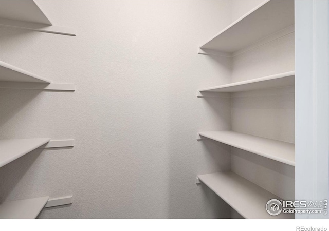 4216 Yellowbells Dr, Evans, CO 80620 - view of walk in closet
