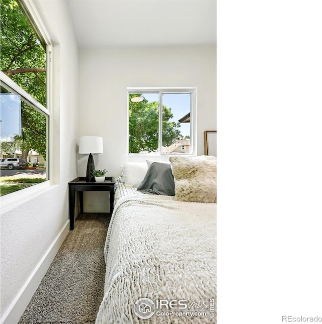 717 E 8th St, Loveland, CO 80537 - photo 19