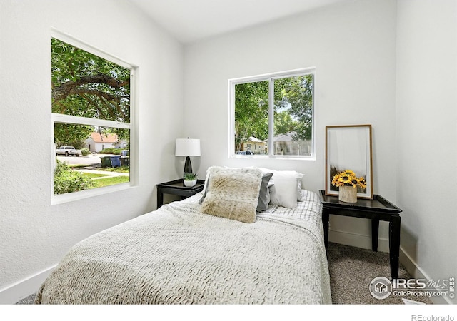 717 E 8th St, Loveland, CO 80537 - photo 20