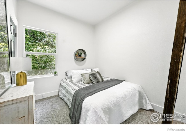 717 E 8th St, Loveland, CO 80537 - photo 25