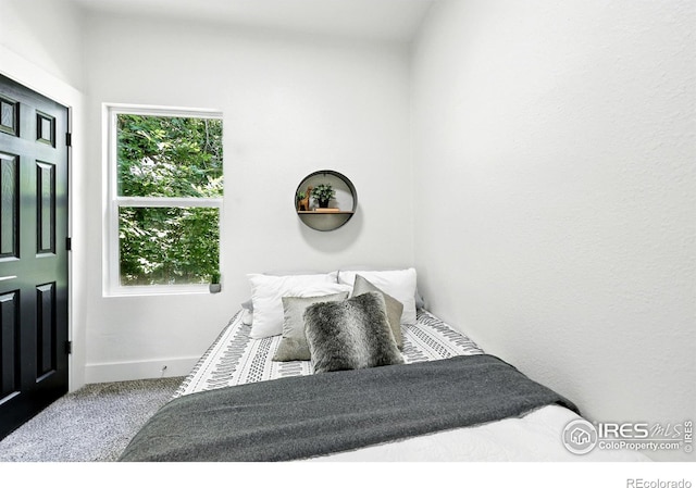 717 E 8th St, Loveland, CO 80537 - photo 27