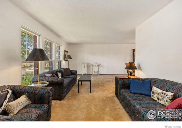610 S Broadway Ave, Fort Lupton, CO 80621 - view of carpeted living area