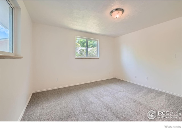 131 E 15th Ave, Longmont, CO 80504 - empty room featuring carpet floors and baseboards