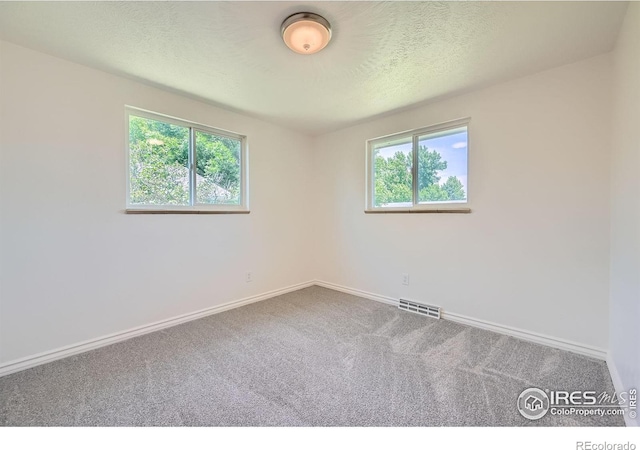 131 E 15th Ave, Longmont, CO 80504 - unfurnished room featuring plenty of natural light, carpet flooring, and a textured ceiling