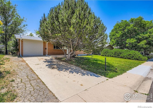 131 E 15th Ave, Longmont, CO 80504 - view of property hidden behind natural elements featuring a garage, driveway, a front lawn, and brick siding