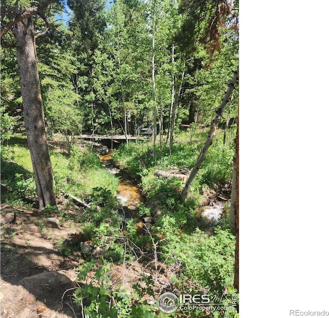 8451 Peak To Peak Hwy, Allenspark, CO 80510 - view of nature