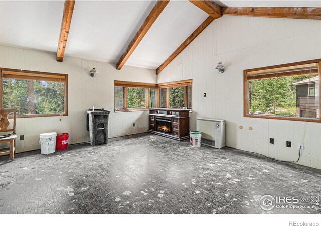 8451 Peak To Peak Hwy, Allenspark, CO 80510 - living room featuring a wood stove and a fireplace