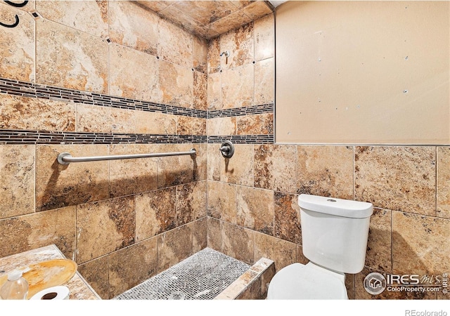 8451 Peak To Peak Hwy, Allenspark, CO 80510 - bathroom with tiled shower and toilet