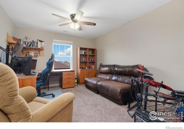 1954 Covered Bridge Pkwy, Windsor, CO 80550 - photo 20