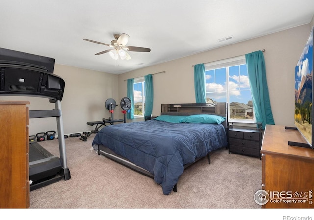1954 Covered Bridge Pkwy, Windsor, CO 80550 - photo 21
