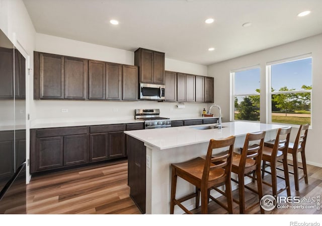 3775 Ginkgo St, Wellington, CO 80549 - kitchen featuring appliances with stainless steel finishes, recessed lighting, light wood-style floors, dark brown cabinetry, and light countertops