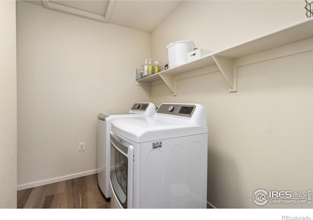 3775 Ginkgo St, Wellington, CO 80549 - laundry room with washer and dryer and wood finished floors