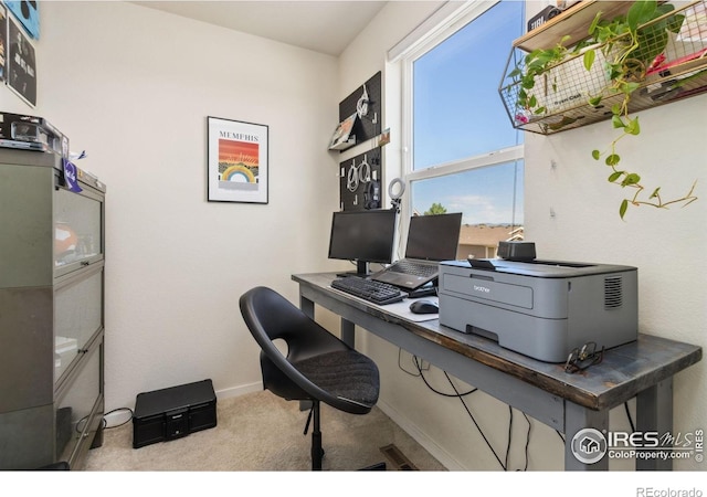 3775 Ginkgo St, Wellington, CO 80549 - office area with carpet and baseboards