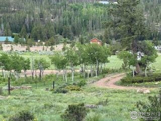 466 Navajo Rd, Red Feather Lakes, CO 80545