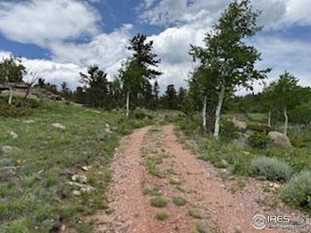 466 Navajo Rd, Red Feather Lakes, CO 80545