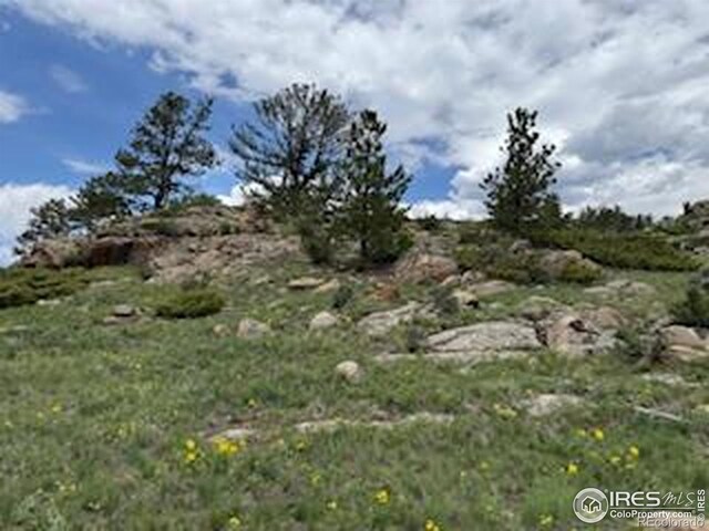466 Navajo Rd, Red Feather Lakes, CO 80545