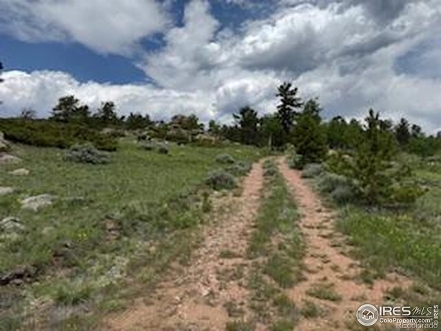 466 Navajo Rd, Red Feather Lakes, CO 80545