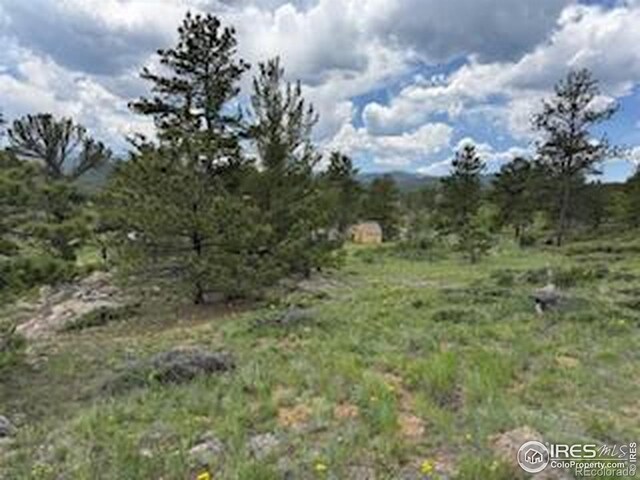 466 Navajo Rd, Red Feather Lakes, CO 80545