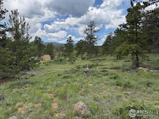 466 Navajo Rd, Red Feather Lakes, CO 80545