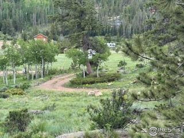 466 Navajo Rd, Red Feather Lakes, CO 80545