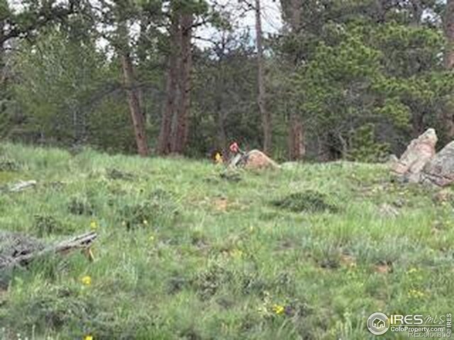 466 Navajo Rd, Red Feather Lakes, CO 80545