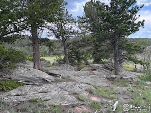 466 Navajo Rd, Red Feather Lakes, CO 80545