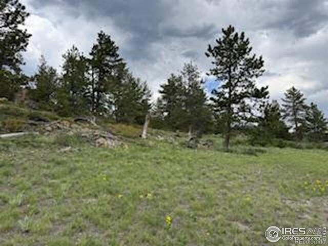 466 Navajo Rd, Red Feather Lakes, CO 80545