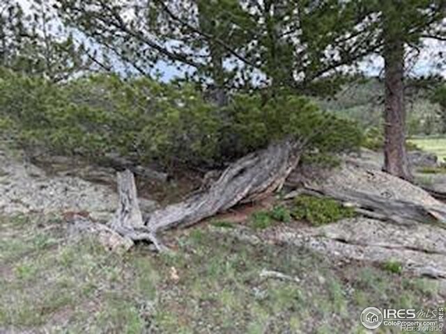 466 Navajo Rd, Red Feather Lakes, CO 80545