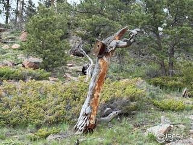 466 Navajo Rd, Red Feather Lakes, CO 80545