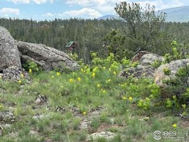 466 Navajo Rd, Red Feather Lakes, CO 80545