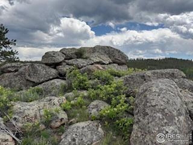466 Navajo Rd, Red Feather Lakes, CO 80545