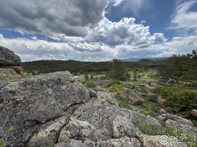 466 Navajo Rd, Red Feather Lakes, CO 80545