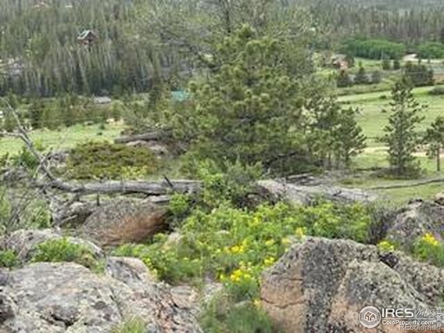 466 Navajo Rd, Red Feather Lakes, CO 80545