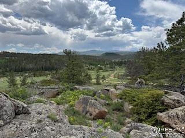 466 Navajo Rd, Red Feather Lakes, CO 80545