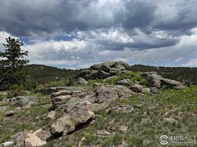466 Navajo Rd, Red Feather Lakes, CO 80545