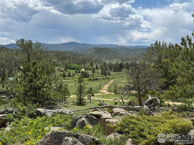 466 Navajo Rd, Red Feather Lakes, CO 80545