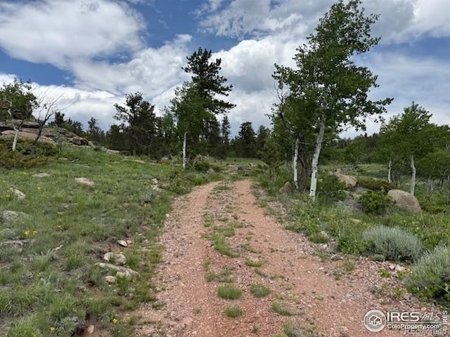 466 Navajo Rd, Red Feather Lakes, CO 80545