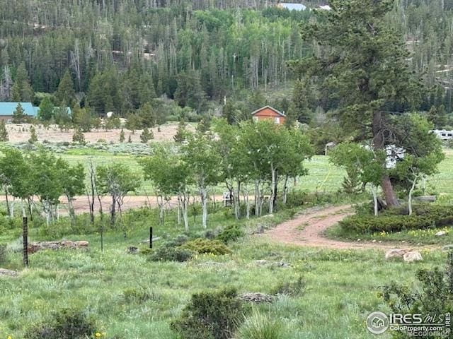 466 Navajo Rd, Red Feather Lakes, CO 80545