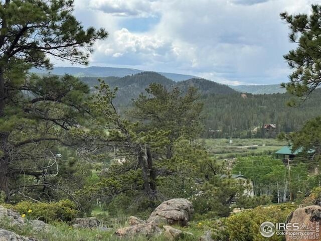 466 Navajo Rd, Red Feather Lakes, CO 80545