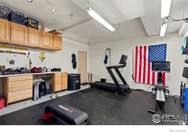 8356 Louden Circle Ft, Collins, CO 80528 - workout area with a workshop area