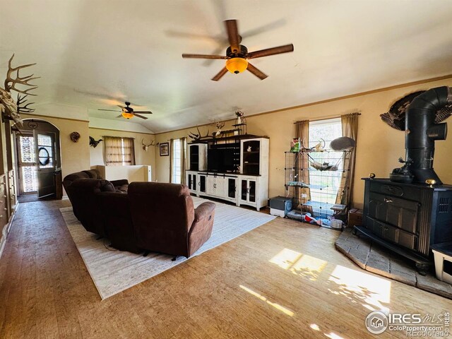 432 Lafever St, Walden, CO 80480 - photo 9