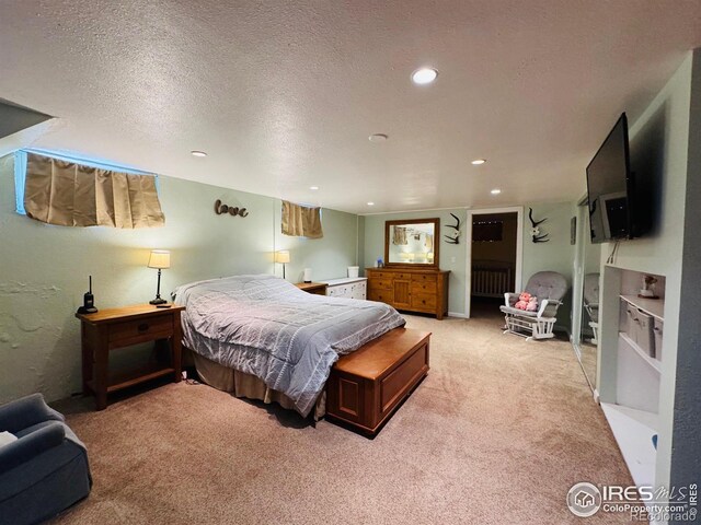 432 Lafever St, Walden, CO 80480 - photo 17