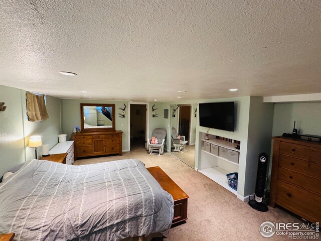 432 Lafever St, Walden, CO 80480 - photo 18