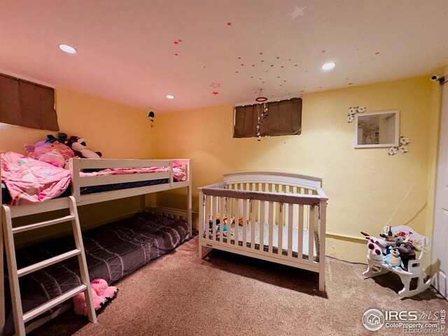 432 Lafever St, Walden, CO 80480 - photo 21